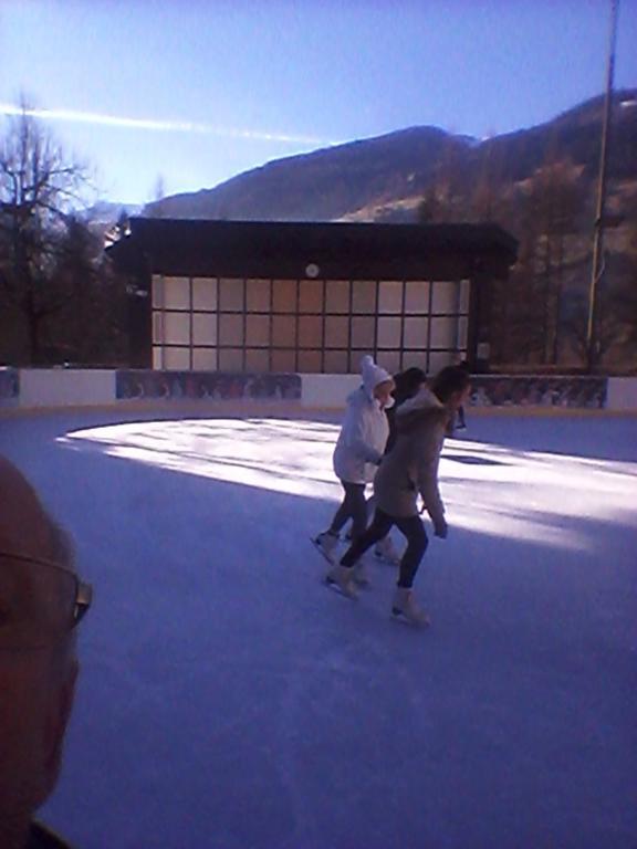 Paul-S Apartman Daire Bad Hofgastein Dış mekan fotoğraf