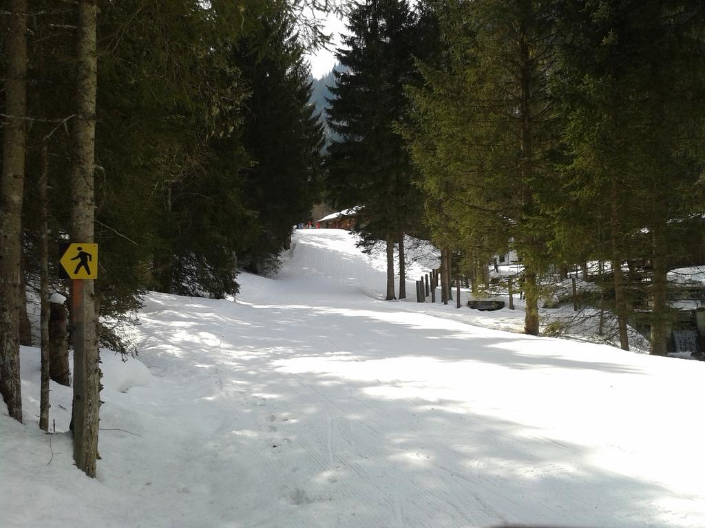 Paul-S Apartman Daire Bad Hofgastein Dış mekan fotoğraf