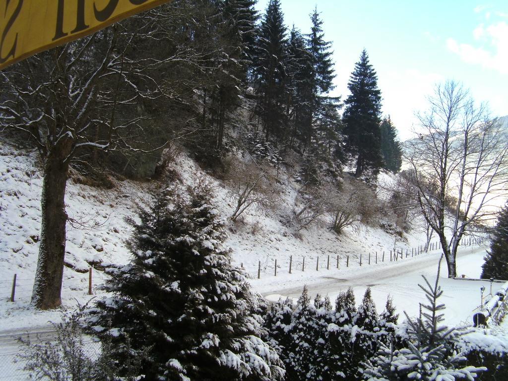 Paul-S Apartman Daire Bad Hofgastein Dış mekan fotoğraf